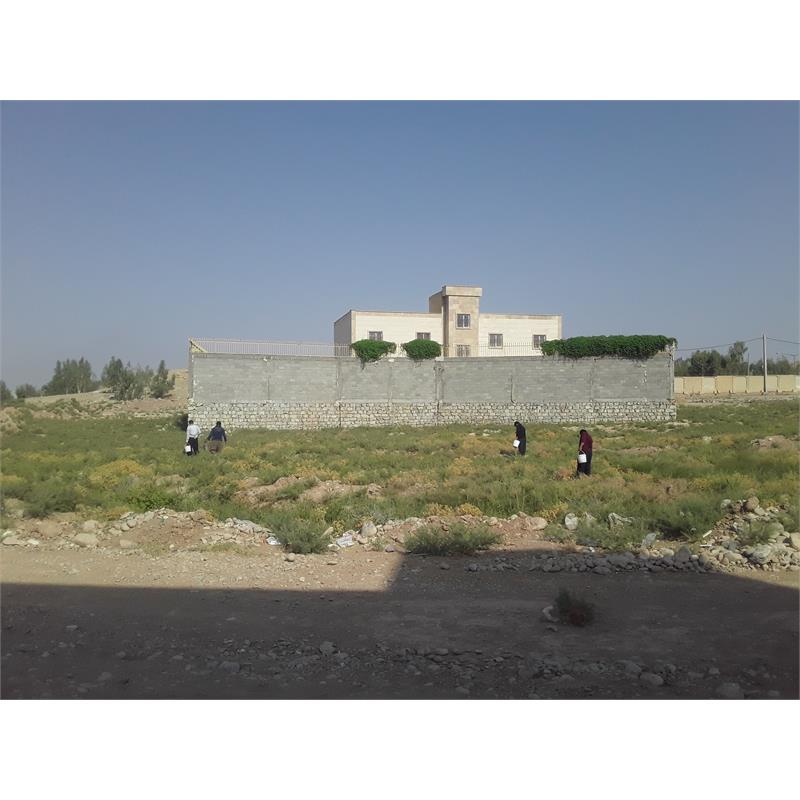 رسانه جدید