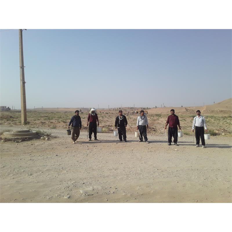 برنامه جونده کشی در سطح شهر وروستا واحد بیماریها