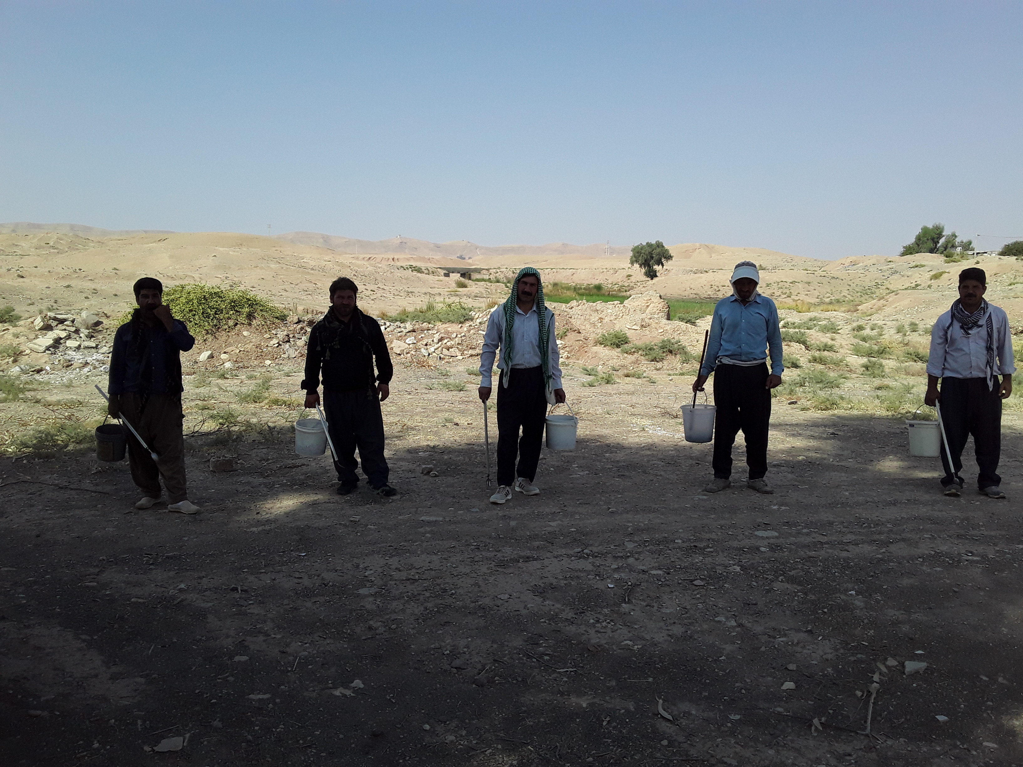 برنامه جونده کشی در سطح شهر وروستا واحد بیماریها