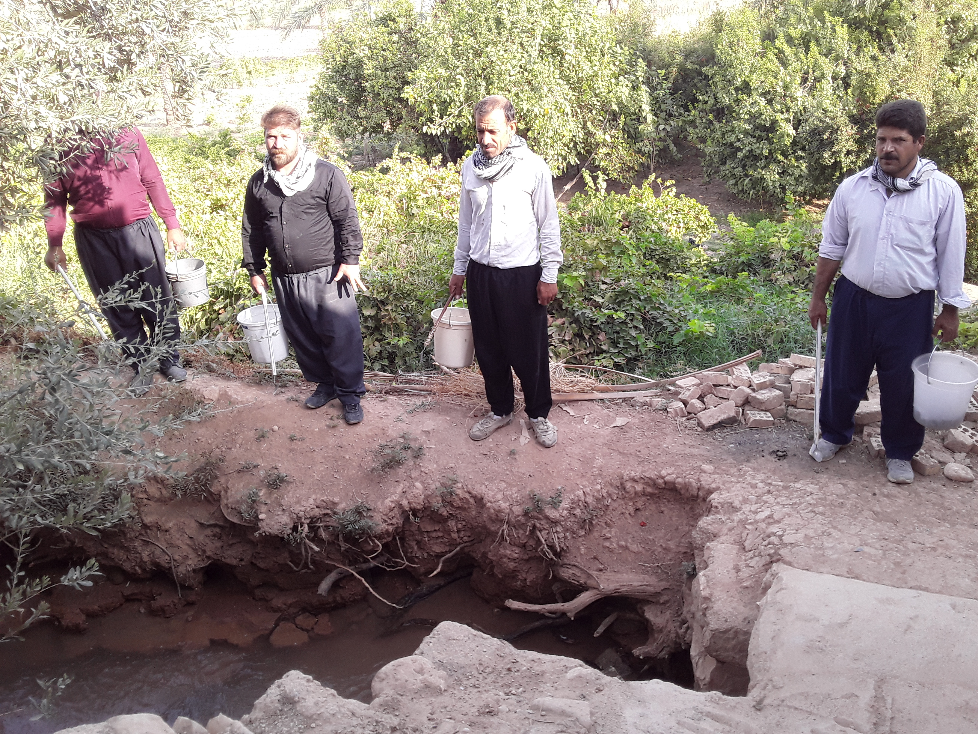 برنامه جونده کشی در سطح شهر وروستا واحد بیماریها